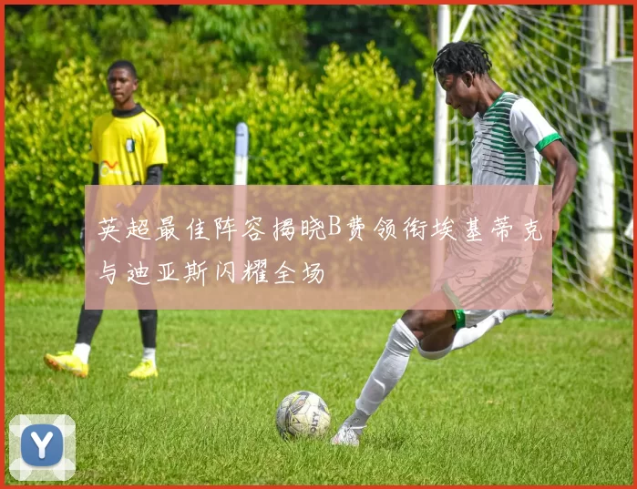 英超最佳阵容揭晓B费领衔埃基蒂克与迪亚斯闪耀全场