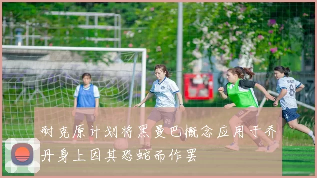 耐克原计划将黑曼巴概念应用于乔丹身上因其恐蛇而作罢